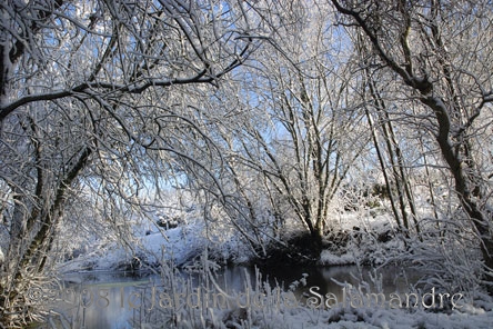 Neige sur la mare au Jardin de la Salamandre en Dordogne 