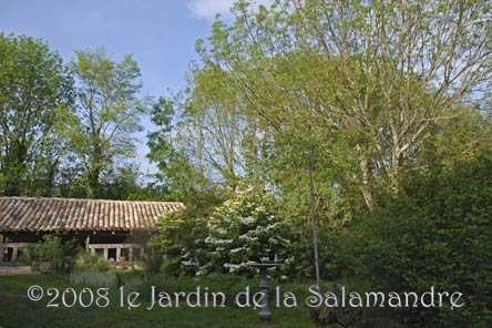 Petits toits au Jardin de la Salamandre en Dordogne