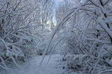 Neige sur le chemin au Jardin de la Salamandre en Dordogne