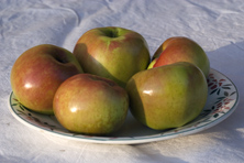 Pomme 'La Douce' au Jardin de la Salamandre