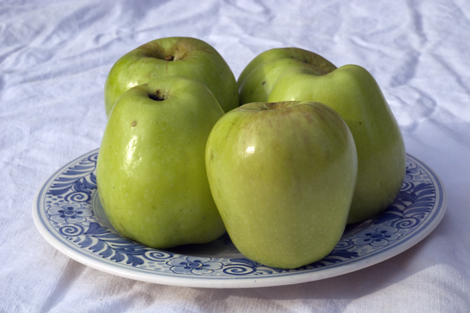 Pomme Museau de Lièvre au Jardin de la Salamandre