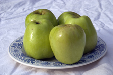 Pomme 'Museau de Lièvre' au Jardin de la Salamandre