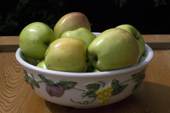 Pomme Museau de Lièvre 2 au Jardin de la Salamandre