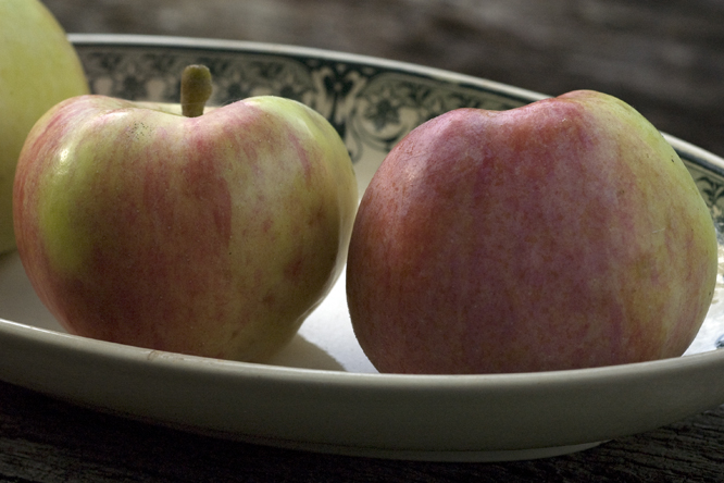 Pomme Rose d'Été au Jardin de la Salamandre
