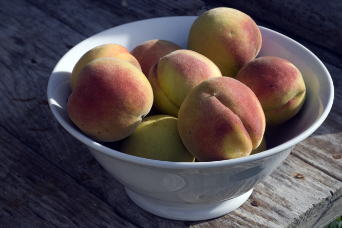 Pêche Roussane Royale 4au Jardin de la Salamandre